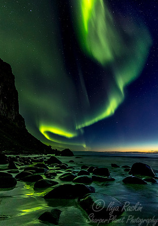106 Northern lights - Lofoten - Norway