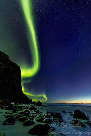 107 Northern lights - Lofoten - Norway