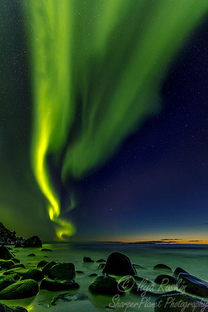 108 Northern lights - Lofoten - Norway