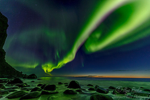 113 Northern lights - Lofoten - Norway