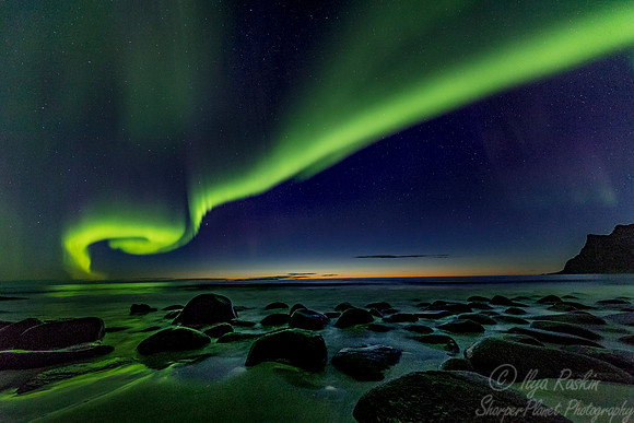 114 Northern lights - Lofoten - Norway