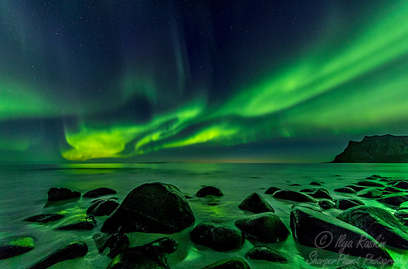 116 Northern lights - Lofoten - Norway