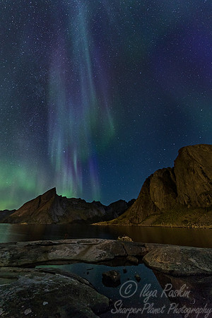 118 Northern lights - Lofoten - Norway