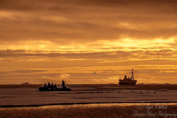 122 Svalbard - Norway