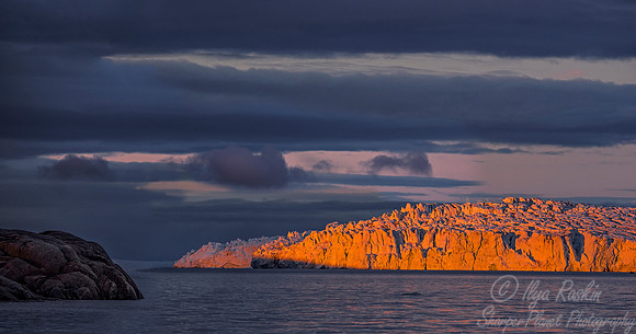 123 Svalbard - Norway