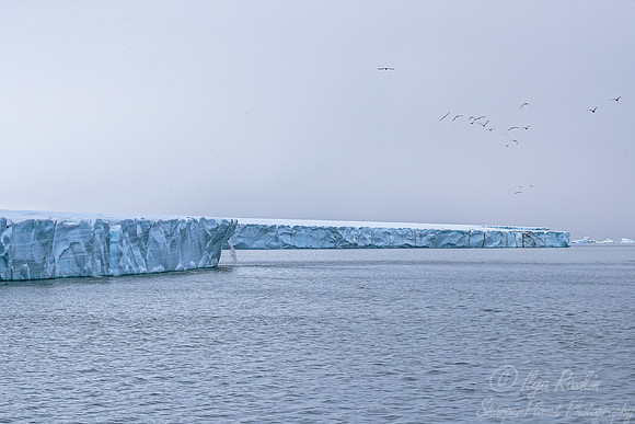 128 Svalbard - Norway