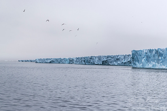 129 Svalbard - Norway