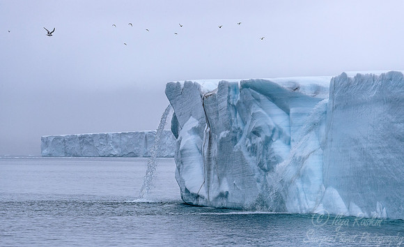 130 Svalbard - Norway