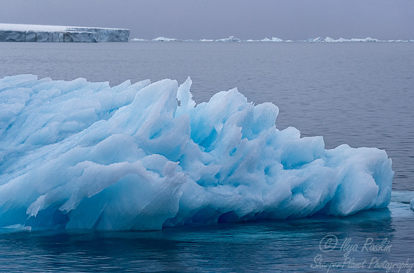 132 Svalbard - Norway