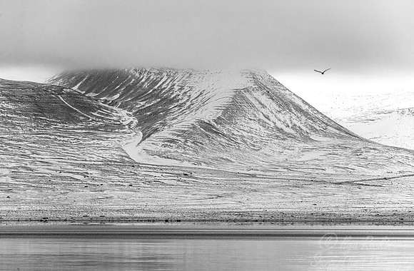 136 Svalbard - Norway