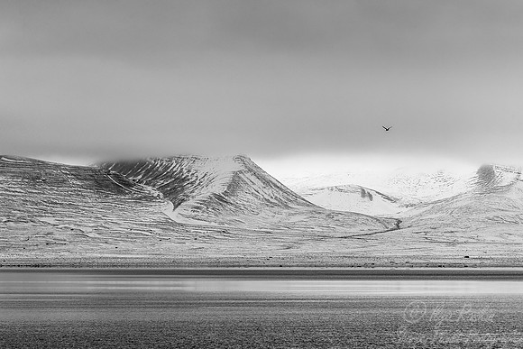 138 Svalbard - Norway