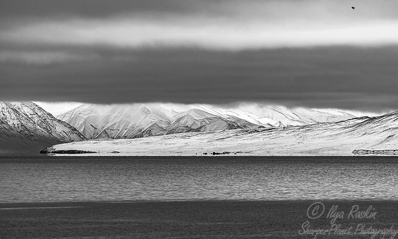 139 Svalbard - Norway