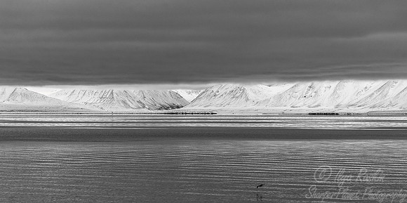 145 Svalbard - Norway