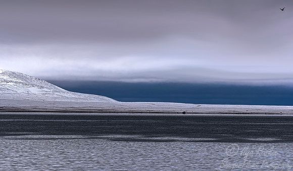 147 Svalbard - Norway