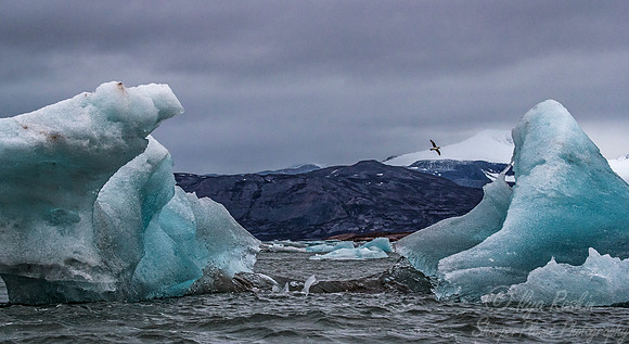 161 Svalbard - Norway