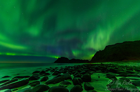 117 Northern lights - Lofoten - Norway