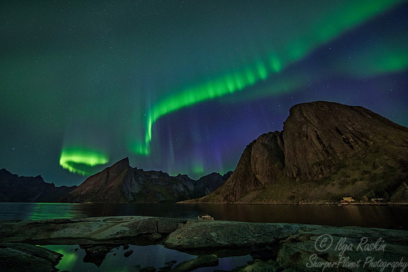 119 Northern lights - Lofoten - Norway