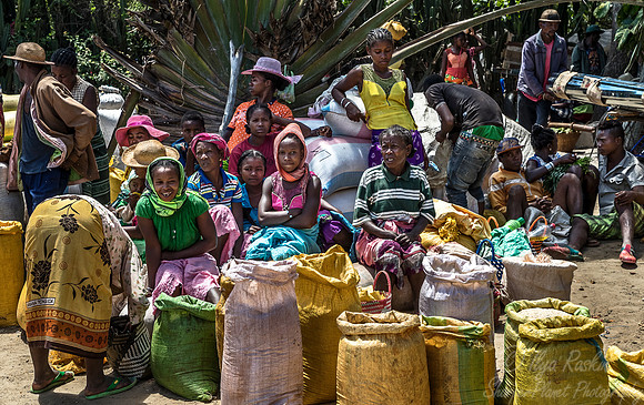 080 Madagascar