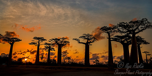 1049 - Madagascar