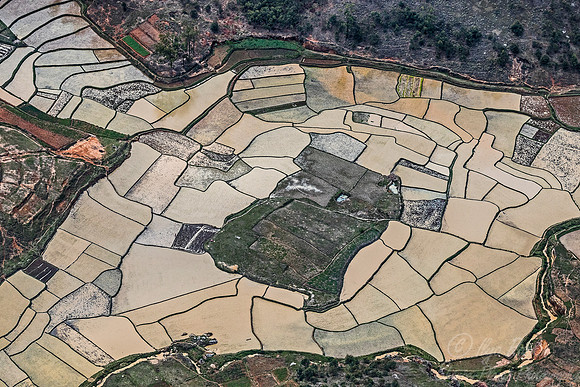 1054 - Madagascar