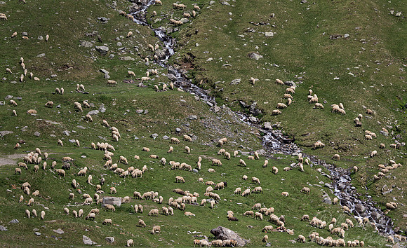 029 Transfăgărășan Road - Romania