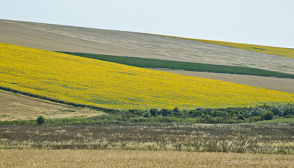 031 Rousse - Bulgaria