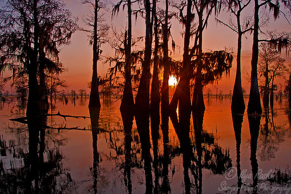 064_Louisiana