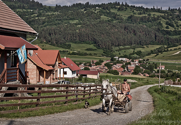 019_1 Transylvania - Romania