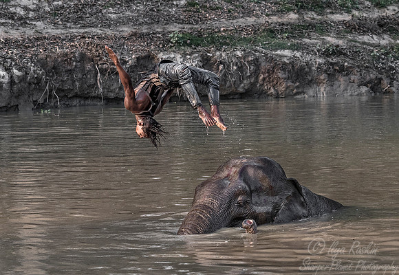003 Bandhavgarh NP India