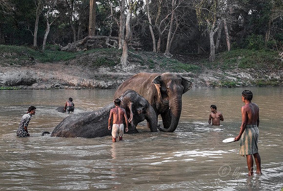 008 Bandhavgarh NP India