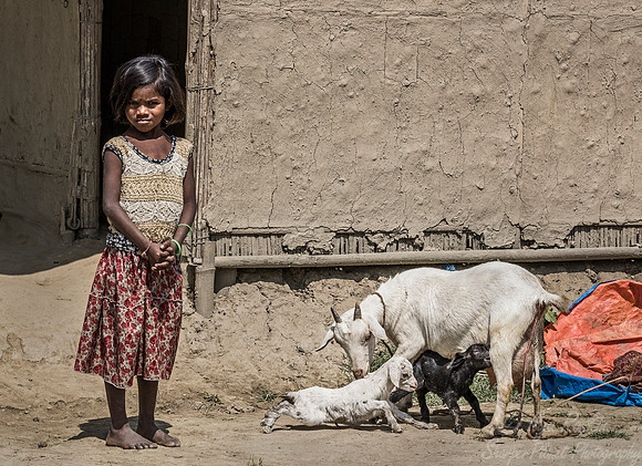 031 Asam India