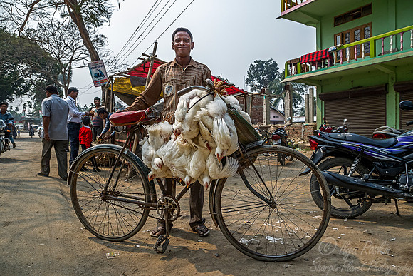 040 Asam India
