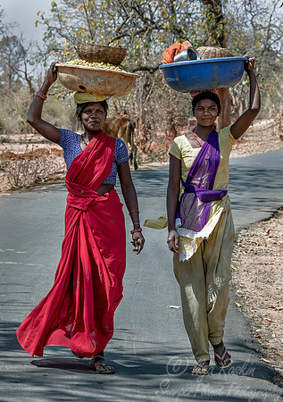 045 Madhya Pradesh India
