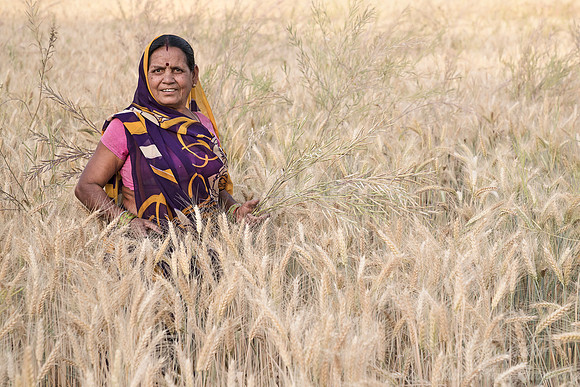 051 Madhya Pradesh India