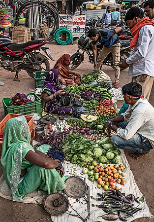 056 Madhya Pradesh India