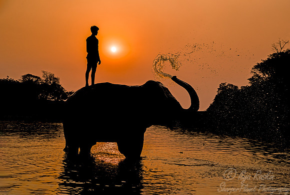 001  Bandhavgarh NP India