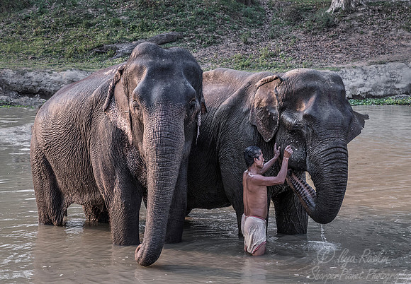 007 Bandhavgarh NP India