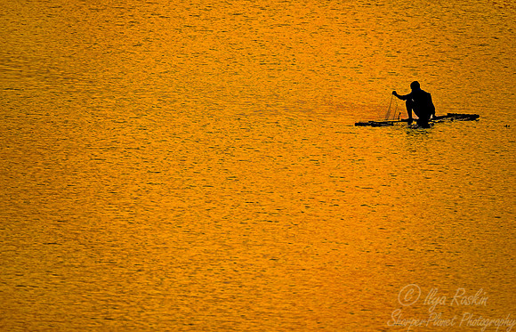 026 Kaziranga NP - Asam India
