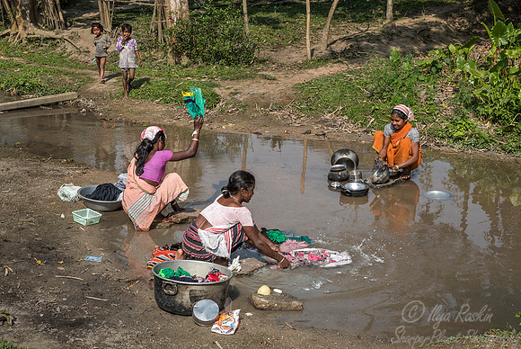 032 Asam India