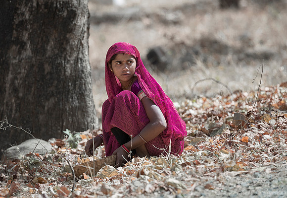 046 Madhya Pradesh India