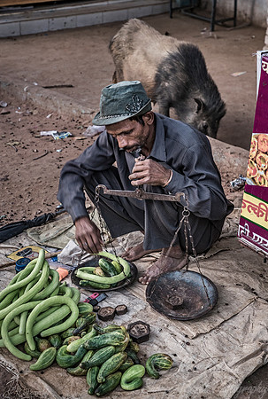 059 Madhya Pradesh India