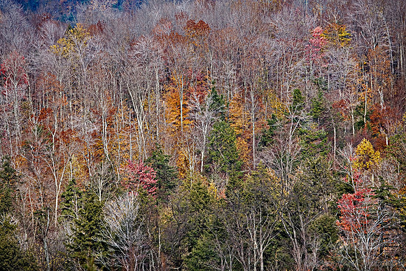 035_Pennsylvania