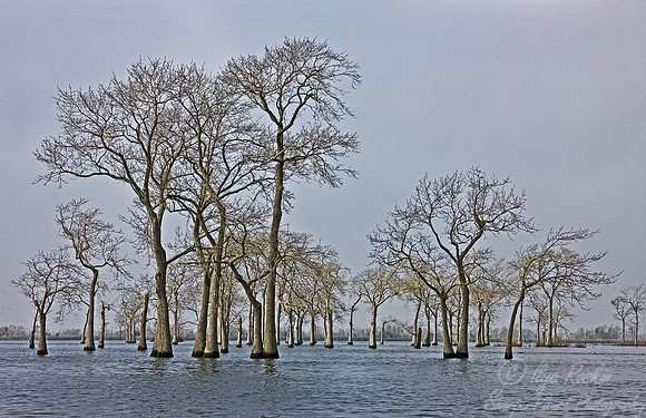 063_Louisiana