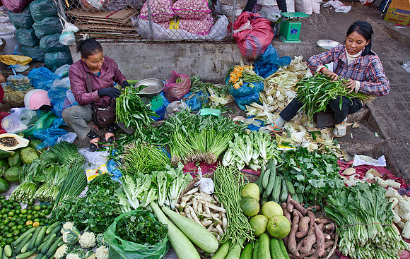 024 Siem Reap - Cambodia