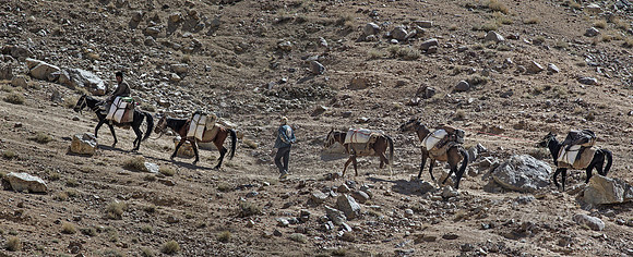 073 Pamir - Afganistan