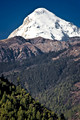 017_Paro Region_Bhutan