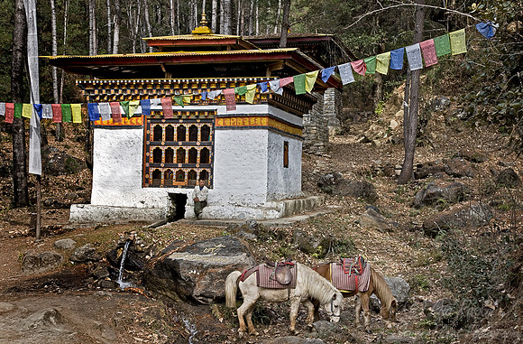 019_Paro Region_Bhutan