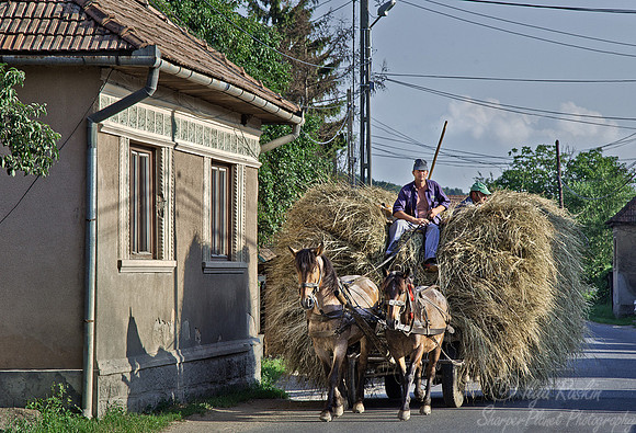 020 Transylvania - Romania