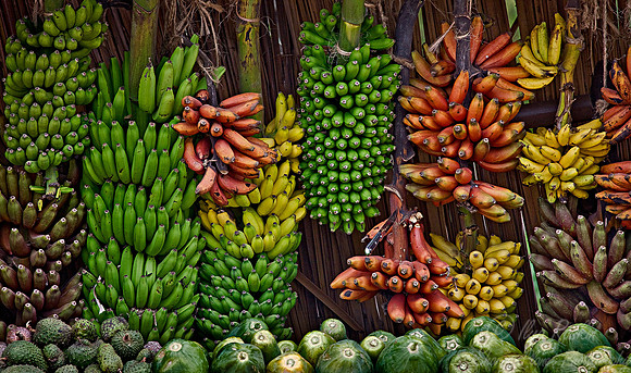 029_Bananas_Tanzania