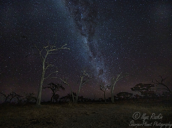 2057 Moremi region - Botswana